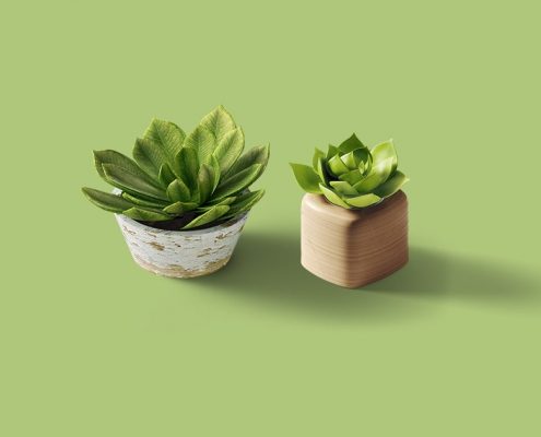 minimal portfolio banner2